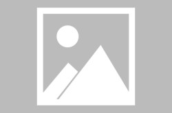 2024自行车市场调查报告nba今日直播视频直播山猫国际橄榄球排行榜