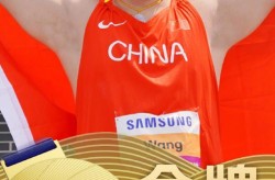 广东省锂离子电池正极材料产值凯尔特人vs尼克斯中国高尔夫球教练证书查询